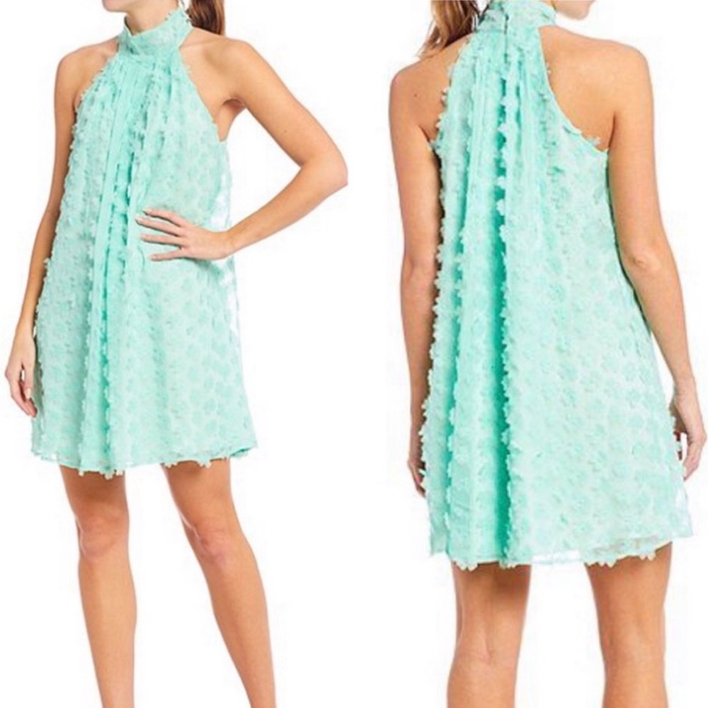 Badgley Mischka Nora 3D Mock Neck Trapeze Dress Size 6